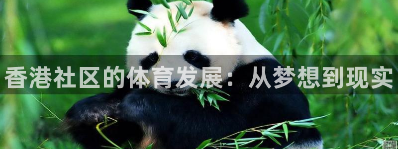 注册意昂5(KGAME)：香港社区的体育发展：从梦想