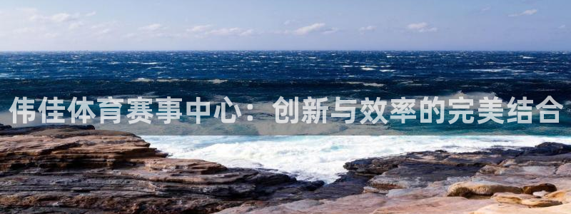 海南意昂5(KGAME)体育：伟佳体育赛事中心：创新