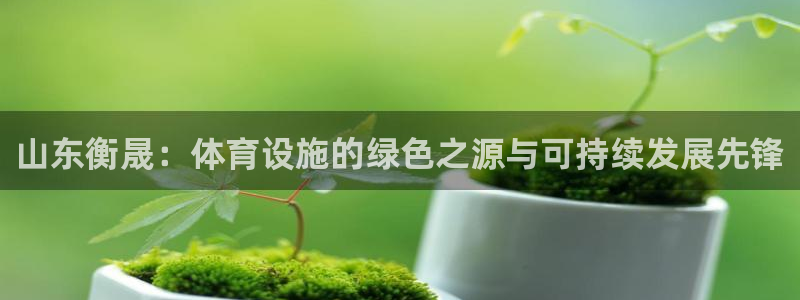 意昂5(KGAME)娱乐首页官网下载：山东衡晟：体育