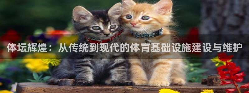意昂5(KGAME)体育娱乐：体坛辉煌：从传统到现代的体育基