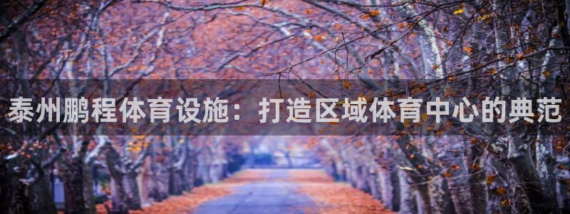 海南意昂5(KGAME)体育发展怎么样：泰州鹏程体育设施：打