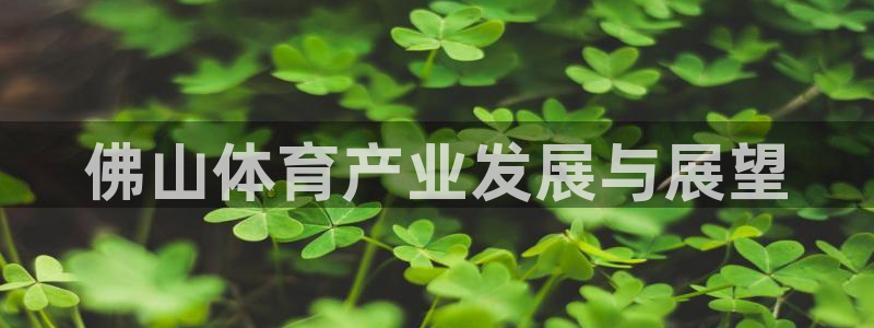 意昂5(KGAME)娱乐首页网站大全：佛山体育产业发展与展望