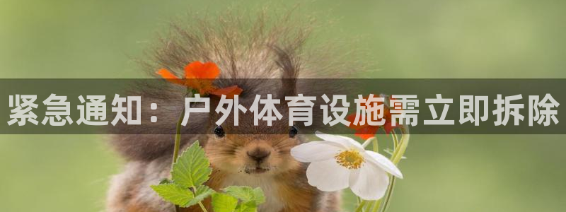 意昂5(KGAME)体育招商电话号码查询：紧急通知：户外体育