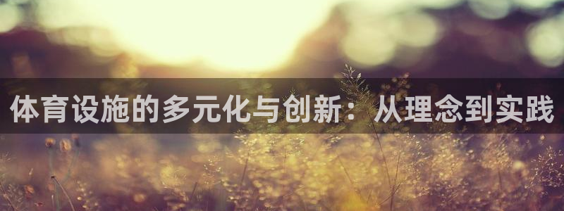 意昂5(KGAME)体育平台APP：体育设施的多元化与创新： 