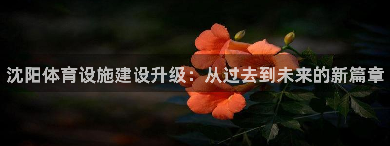 意昂5(KGAME)集团官网首页网址：沈阳体育设施建