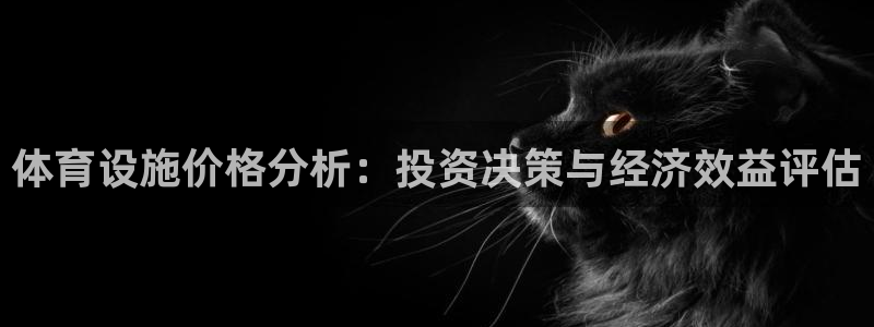 意昂5(KGAME)神州：体育设施价格分析：投资决策与经济效