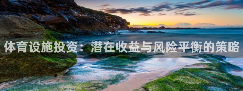 意昂5(KGAME)娱乐下载：体育设施投资：潜在收益与风险平 