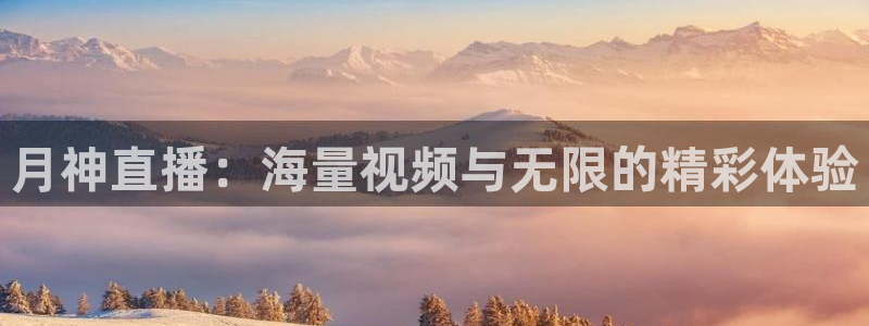 360体育免费直播在线观看