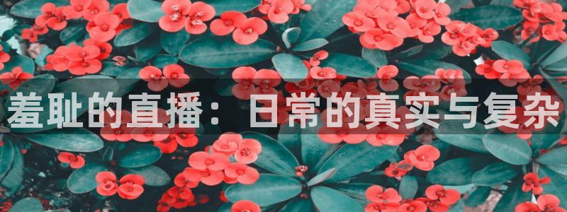 新闻图片
