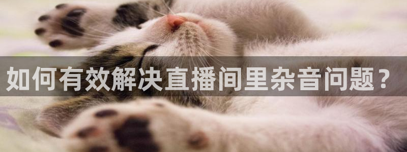360直播球赛：如何有效解决直播间里杂音问题？