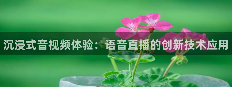 360体育直播无插件高清直播：沉浸式音视频体验：语音直播的创新技术应用