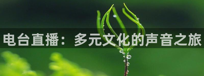 新闻图片