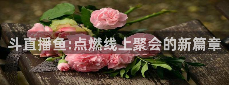 无插件360体育直播：斗直播鱼:点燃线上聚会的新篇章