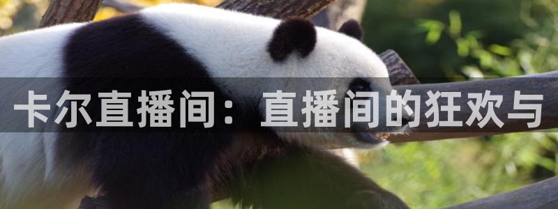 360足球直播在线直播：卡尔直播间：直播间的狂欢与